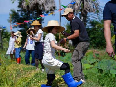 SS Rice News Convention 2025, Pattaya - Thailand
